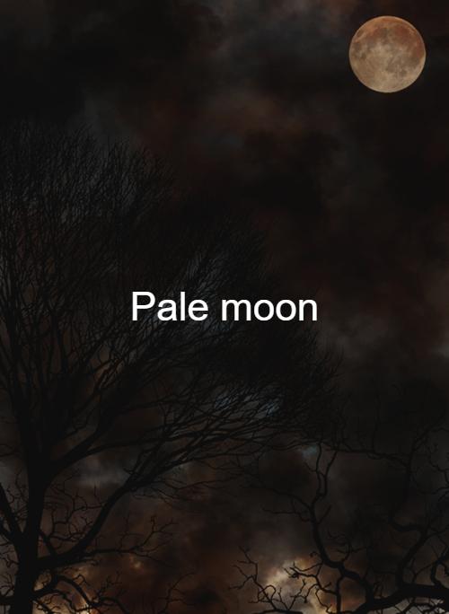 Pale moon