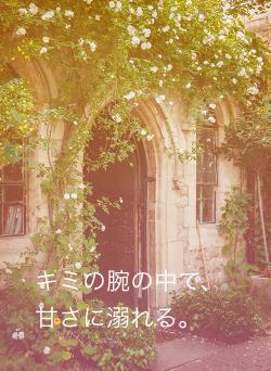 キミの腕の中で、甘さに溺れる。