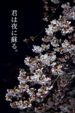 君は夜に蘇る。