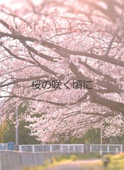 桜の咲く頃に