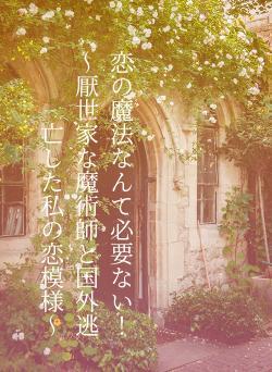 恋の魔法なんて必要ない!~厭世家な魔術師と国外逃亡した私の恋模様~