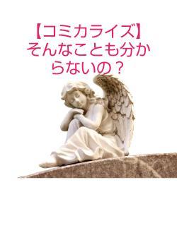 【コミカライズ】そんなことも分からないの?