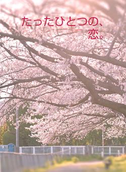 たったひとつの、恋。