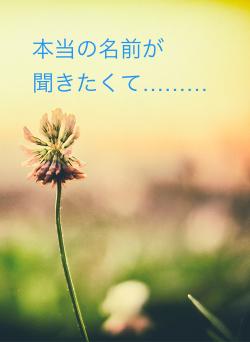 本当の名前が　　聞きたくて………