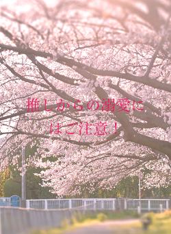 推しからの溺愛にはご注意!