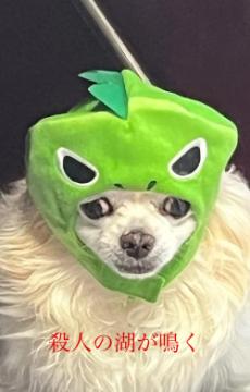 殺人の湖が鳴く