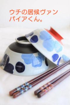 ウチの居候ヴァンパイアくん。