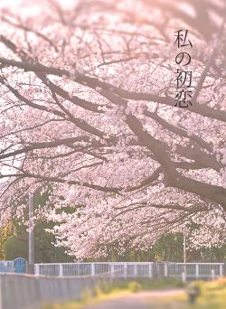 私の初恋