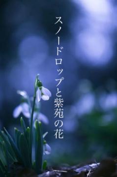 スノードロップと紫苑の花