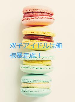 双子アイドルは俺様暴走族！