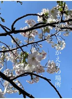 この桜の下おかえりの場所