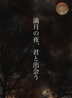 満月の夜、君と出会う