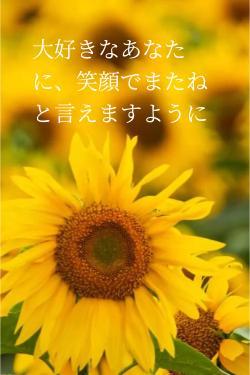 大好きなあなたに、笑顔でまたねと言えますように