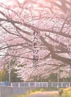 わたしの初恋