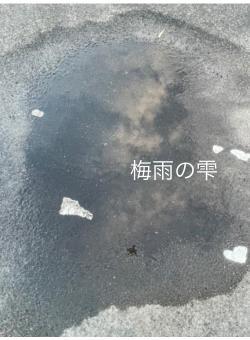梅雨の雫