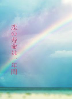 恋の寿命は一年間