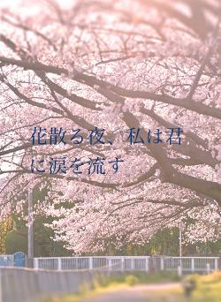 花散る夜、私は君に涙を流す