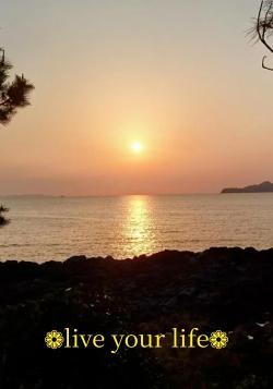 ❁live your life❁