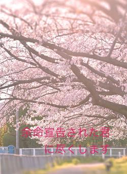 余命宣告された君に尽くします