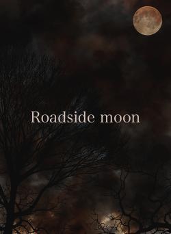 Roadside moon