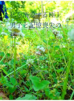 私を溺愛する極上男子と記憶喪失の私