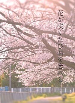 花が咲くたび君を忘れる