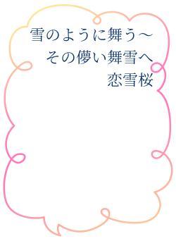 雪のように舞う～その儚い舞雪へ　恋雪桜