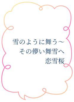 雪のように舞う～その儚い舞雪へ　恋雪桜