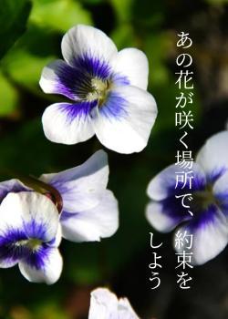 あの花が咲く場所で、約束をしよう