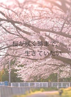 桜が咲く時まで、生きていたい