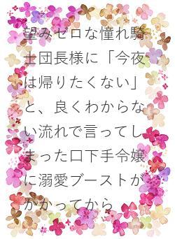 望みゼロな憧れ騎士団長様に「今夜は帰りたくない」と、良くわからない流れで言ってしまった口下手令嬢に溺愛ブーストがかかってから