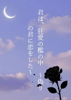 君は、狂愛の檻の中 ~偽りの君に恋をした~
