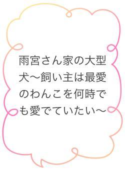 雨宮さん家の大型犬〜飼い主は最愛のわんこを何時でも愛でていたい〜