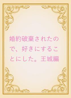 婚約破棄されたので、好きにすることにした。王城編