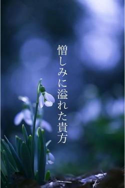 憎しみに溢れた貴方