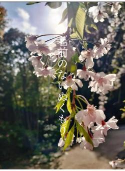 名前のないぬくもり