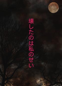 壊したのは私のせい