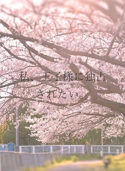 私、王子様に独占されたい。