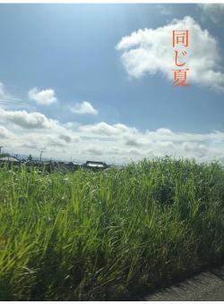 同じ夏