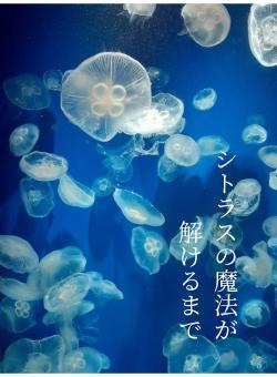 シトラスの魔法が解けるまで