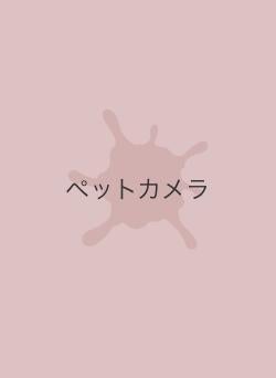 ペットカメラ