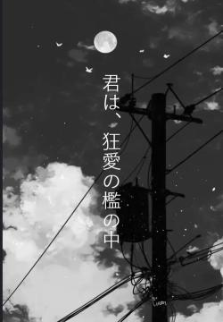 君は、狂愛の檻の中
