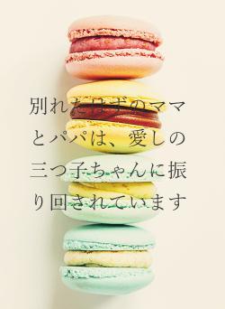 別れたはずのママとパパは、愛しの三つ子ちゃんに振り回されています