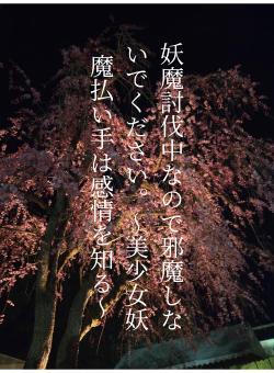 妖魔討伐中なので邪魔しないでください。～美少女妖魔払い手は感情を知る～