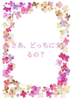 さあ、どっちにするの?