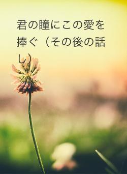 君の瞳にこの愛を捧ぐ（その後の話し）