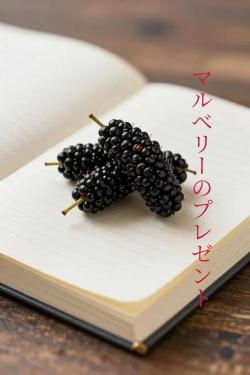 マルベリーのプレゼント