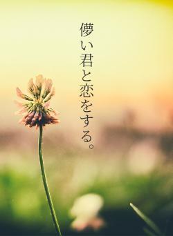 儚い君と恋をする。