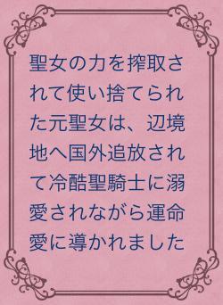 聖女の力を搾取されて使い捨てられた元聖女は、辺境地へ国外追放されて冷酷聖騎士に溺愛されながら運命愛に導かれました