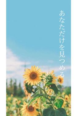 あなただけを見つめる